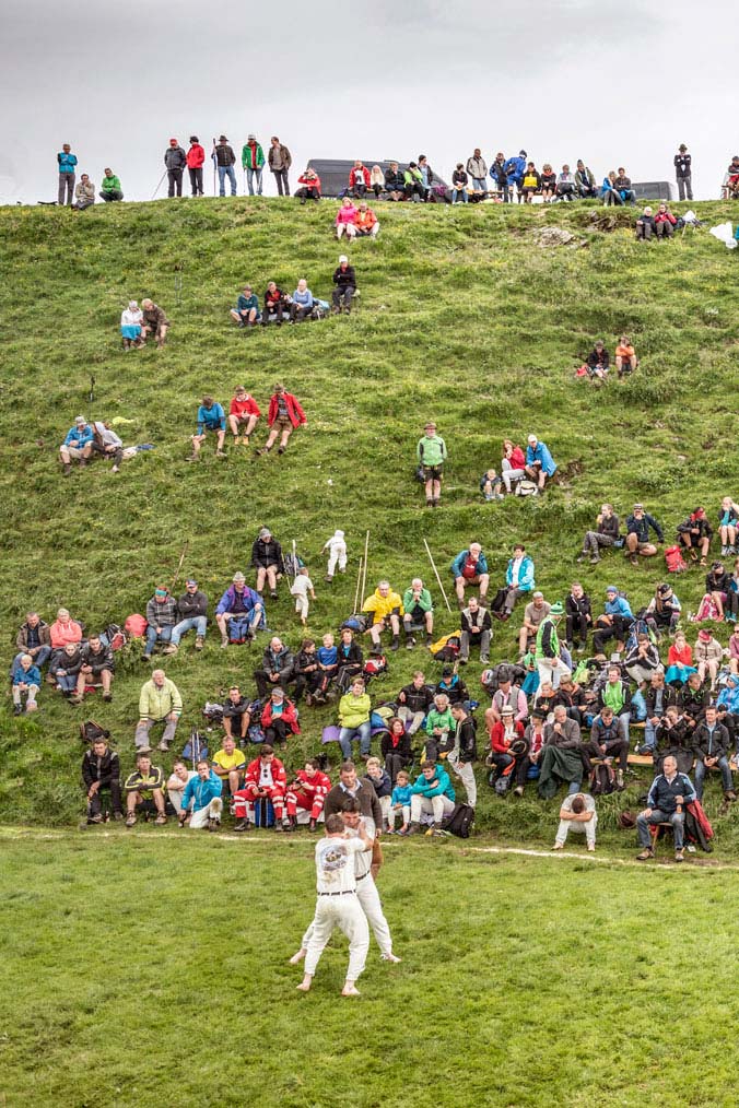 Hundstao-Ranggeln – Zuschauer sitzen im Gras